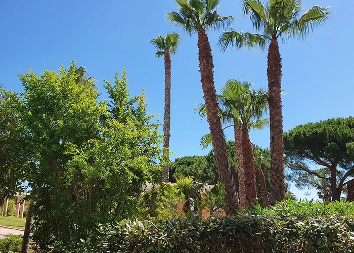 Apartment Location Pour 4 Personnes Presqu Ile De Giens 3 Etoiles *